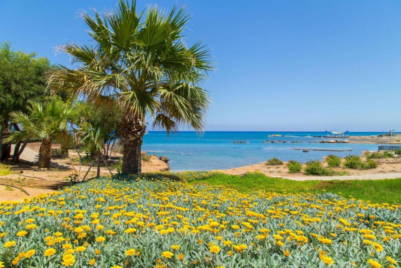 Kato Yialia Villa Constantinos מראה חיצוני תמונה